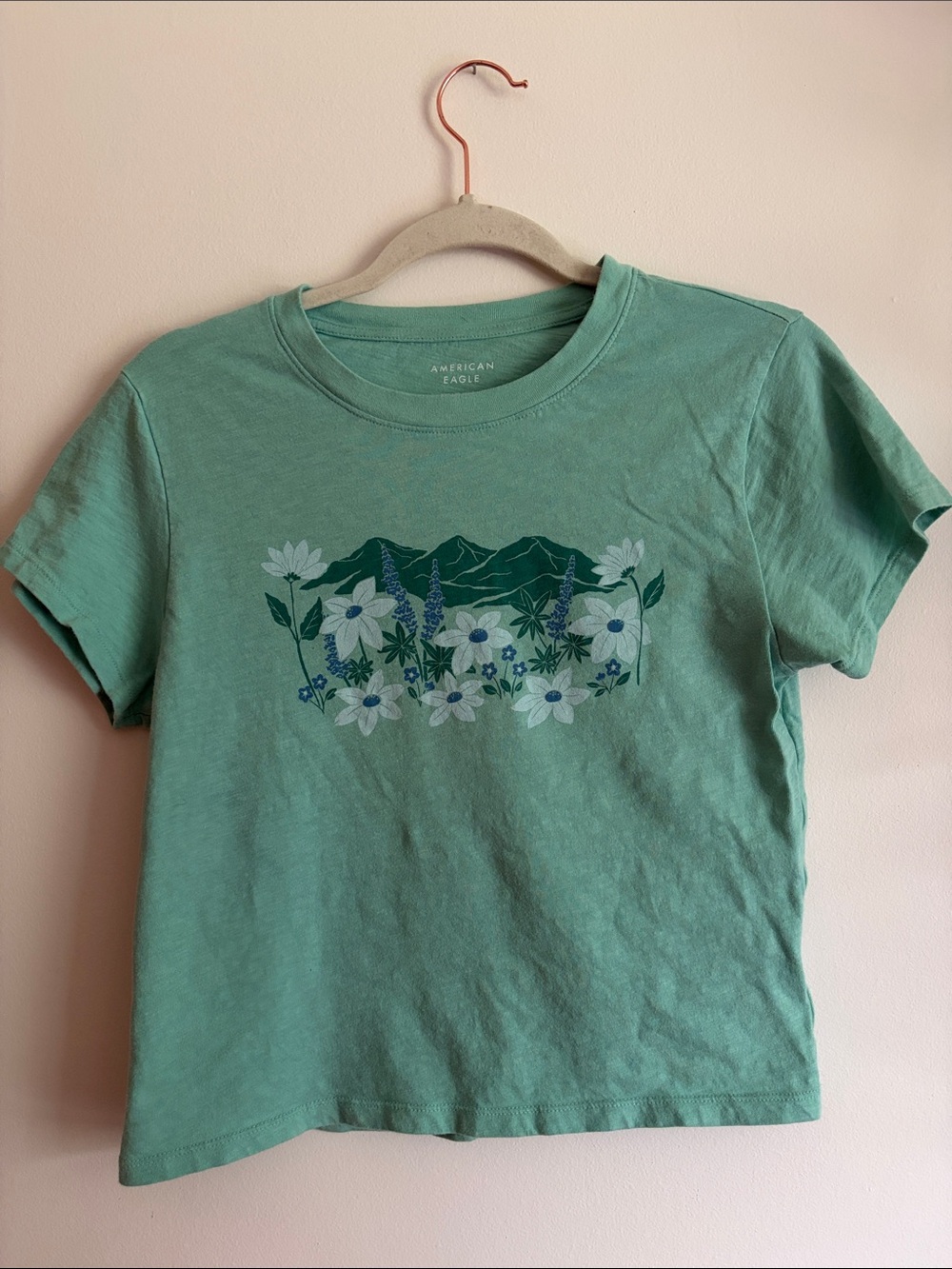 American Eagle Outfitters Mint Green Floral Mountain Cropped Tee